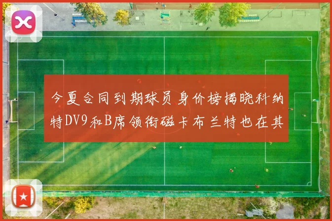 今夏合同到期球员身价榜揭晓科纳特DV9和B席领衔磁卡布兰特也在其中